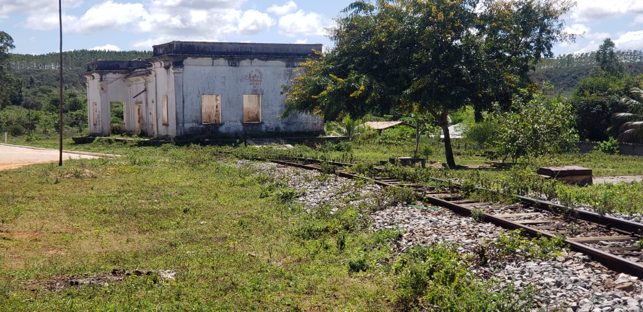 WhatsApp Image 2022-08-15 at 13.33.47.jpeg